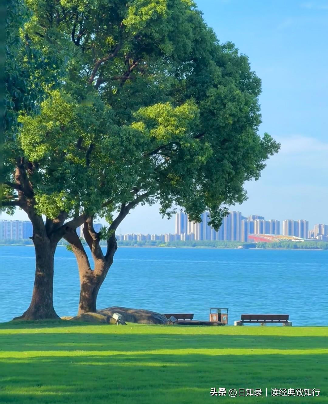 繁华皆是过客，本心方为归途；
世事起落无常，唯有风骨长存。
紫陌红尘，是俗世繁华