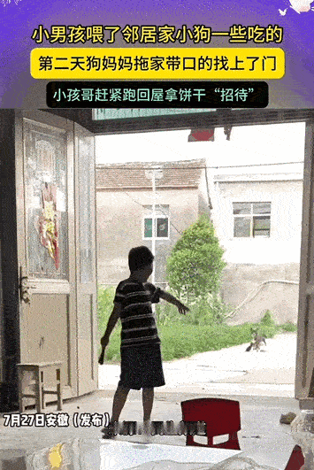 万物皆有灵性！安徽，小男孩投喂了一次邻居家的狗崽，隔天狗妈妈拖家带口的就找上了门