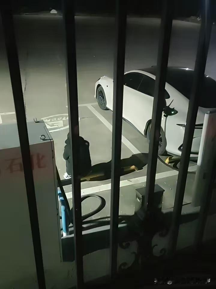 夜黑风高，这位新能源车车主不知让多少人产生了共鸣。
照片是夜晚11点时候照的，那