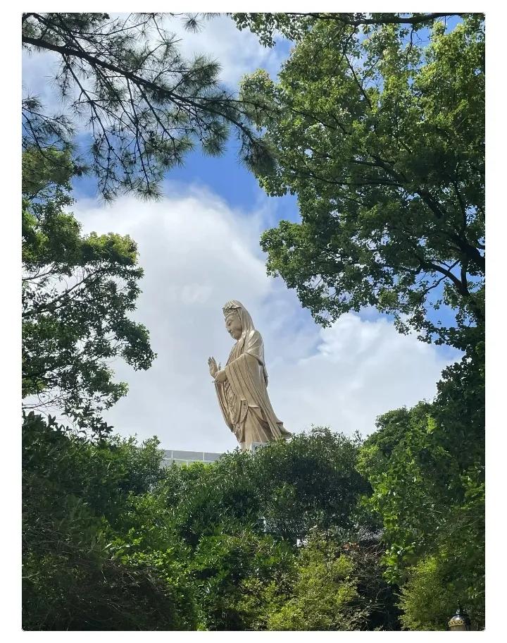 提前通知一下，
大家好有个心理准备。
明天8月23号，终于要结束今年40天的超长