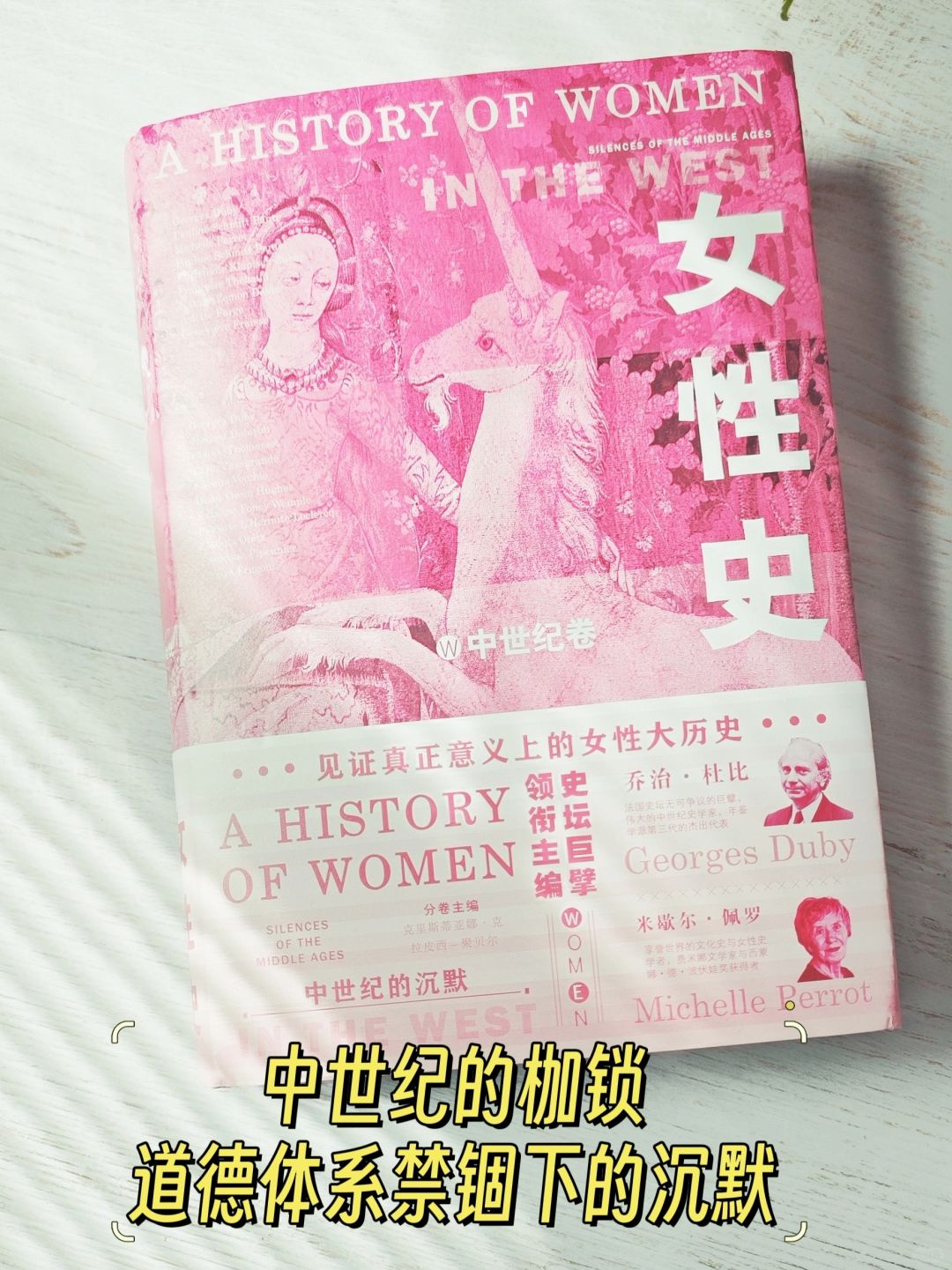 《女性史》中世纪的女性：沉默中的抗争