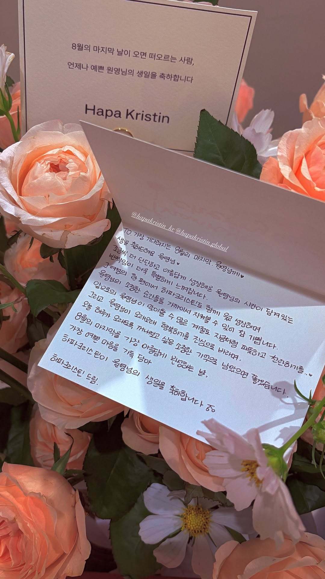 张元英0831生日快乐 🌷ive五团一 🐰张元英 260831【🐰ins快