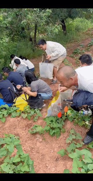 现在的钓鱼人简直就像作贼一样？
每次都是提心吊胆的躺着渔政稽查人员。
毕竟在禁钓