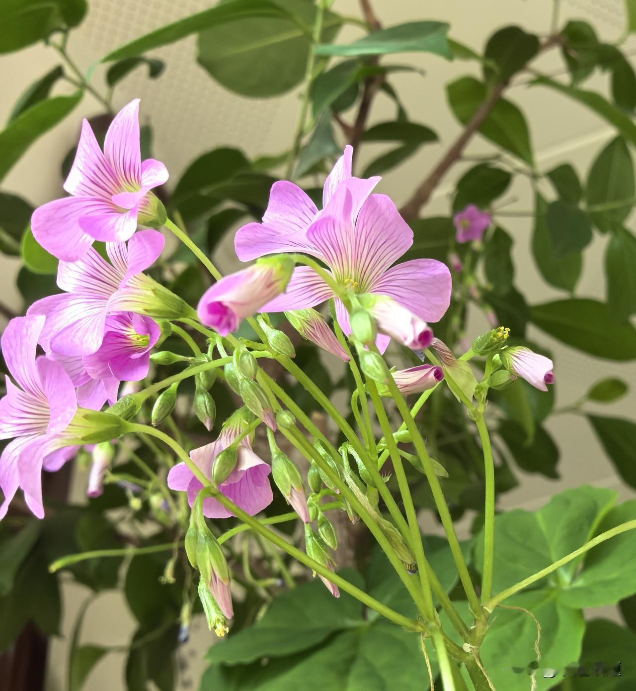 成年人最顶级的养生，一半是心简单，一半是懂知足。
 
世事纷纷扰扰，人心错综复杂