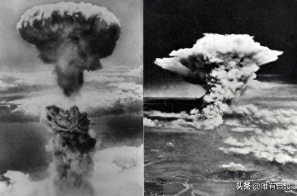 日本再嘚瑟，也不敢直接挑衅俄罗斯。因为，他们深知俄罗斯战斗民族可不是吃素的。而且