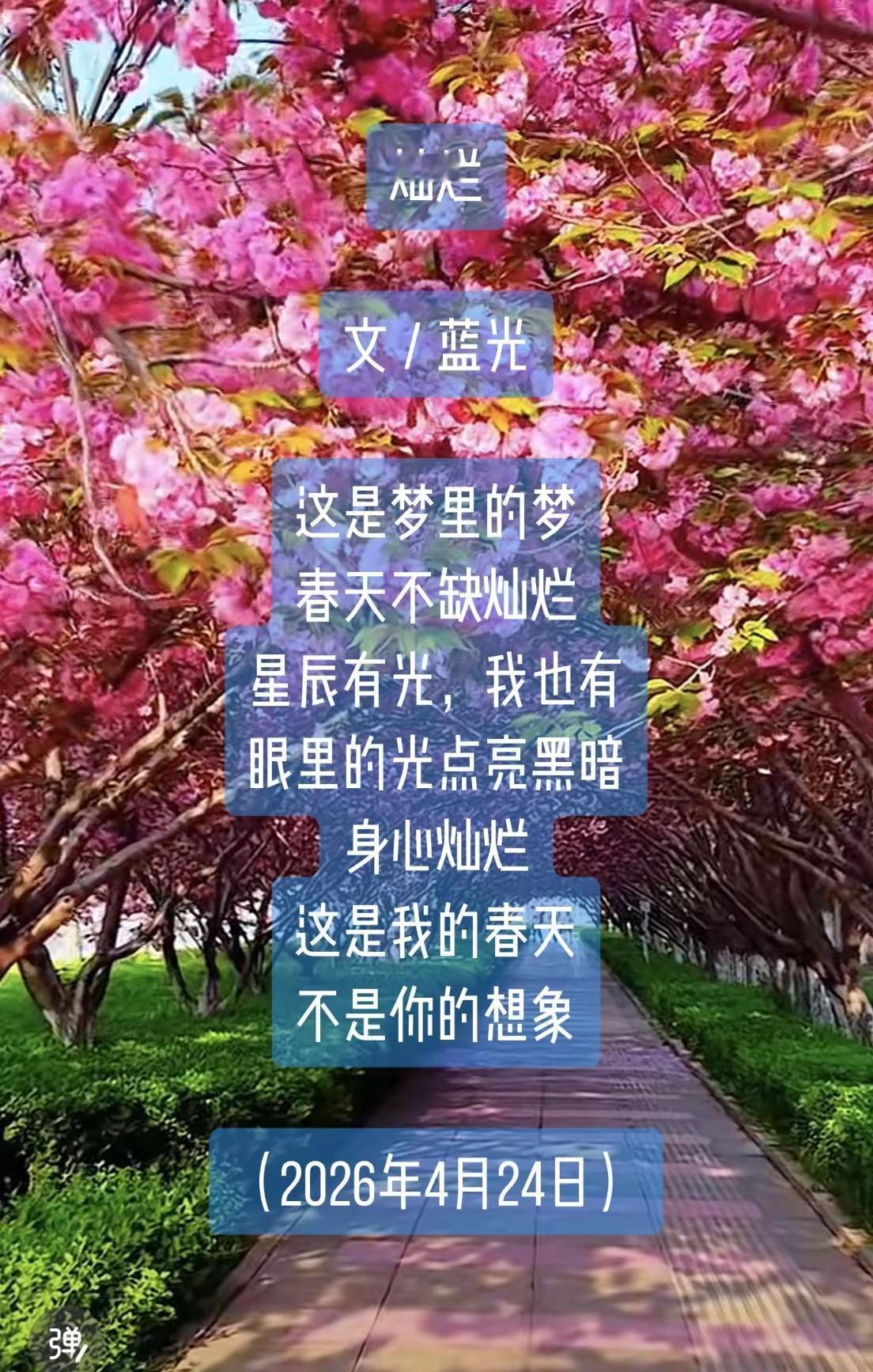 蓝光诗歌丨灿烂。灿烂文／蓝光这是梦里的梦春天不缺灿烂星辰有光，我也有眼里的光点亮