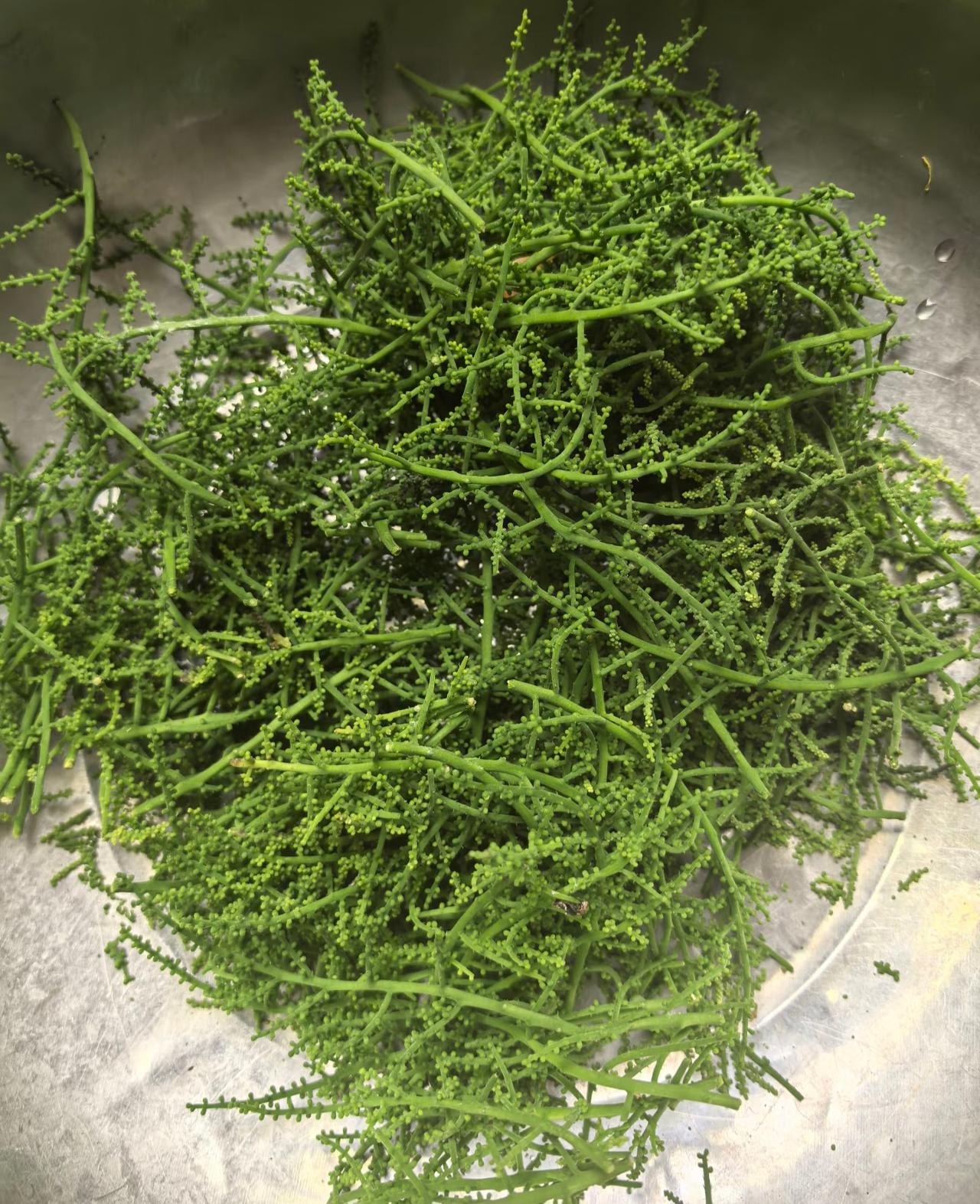 不是！云南野菜怎么这么多啊？！！！
最近每天都在认识新的野菜，
说实话我都惊呆了