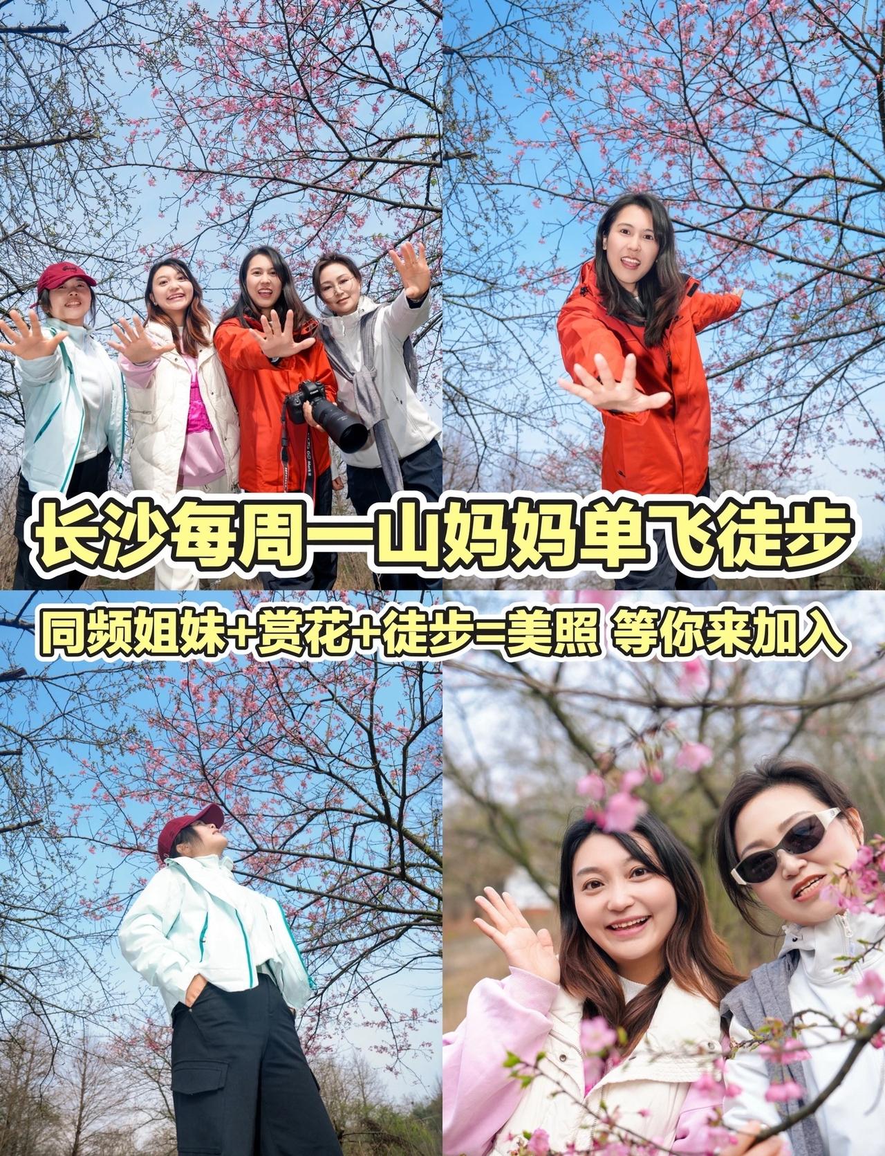 ⛰️长沙每周一山妈妈单飞徒步计划
🌿给妈妈身份按个暂停键
今天不做妈妈不做妻子