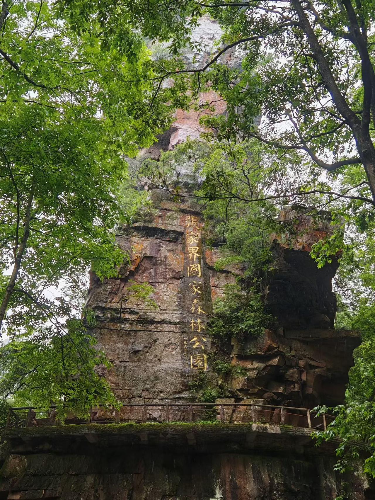 三千奇峰拔地起，八百秀水绕山行
——重游张家界有感

矢志蓝天

提起张家界，这