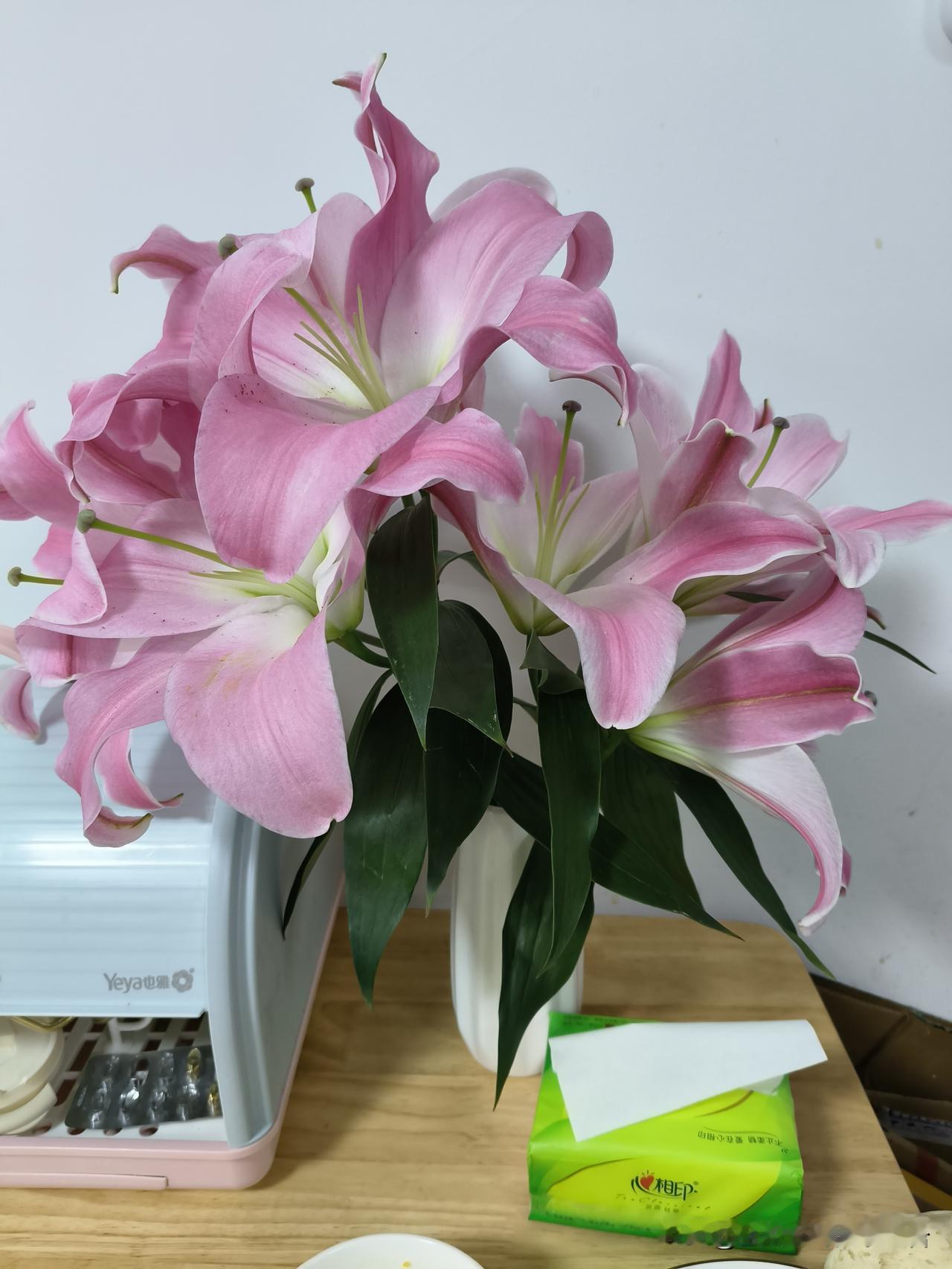 鲜花真的是太能治愈一个人了！

前几天买的百合花都开了，因为掉花粉，我就把里面带