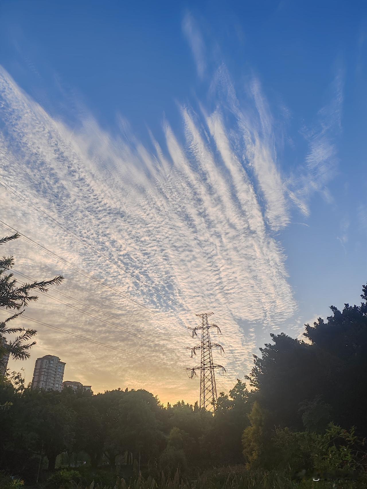 中国人口越减越少，全球总人口却要涨到104亿？这些数据让你一眼看清！
 
咱们常
