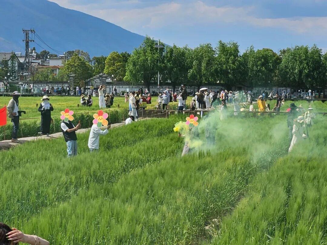 📍喜洲麦田成网红打卡地本是好事，可如今不文明现象太糟心。

❗️就说成都环城生