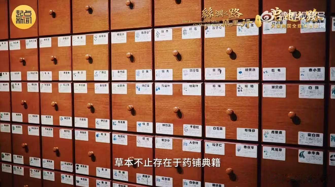 涡河边的草本生活地处黄淮要冲，依傍悠悠涡河。亳州延续千年风骨，续写属于草本的全新