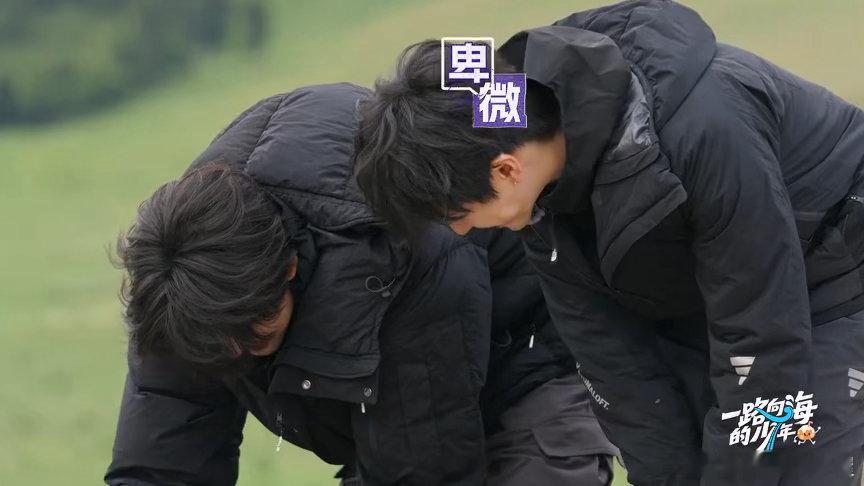 朱志鑫张极对羊撒娇朱志鑫捧着羊的脸撒娇笑晕，两个小孩对着小羊撒娇。朱志鑫捧着羊的