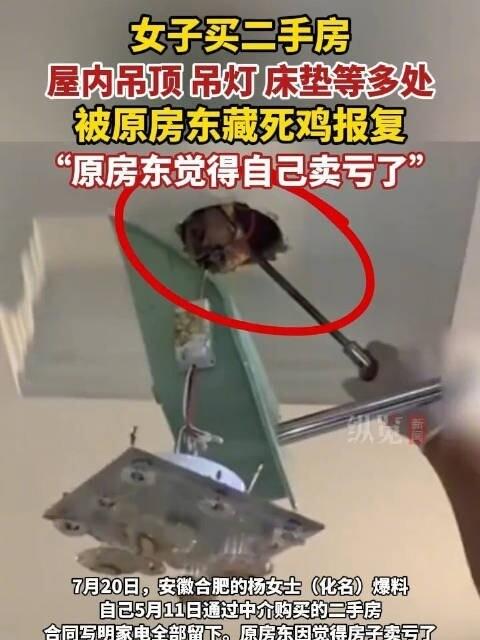 底线彻底撕破了，不装了！
2026年7月20日河南大河报报道，安徽合肥杨女士5月