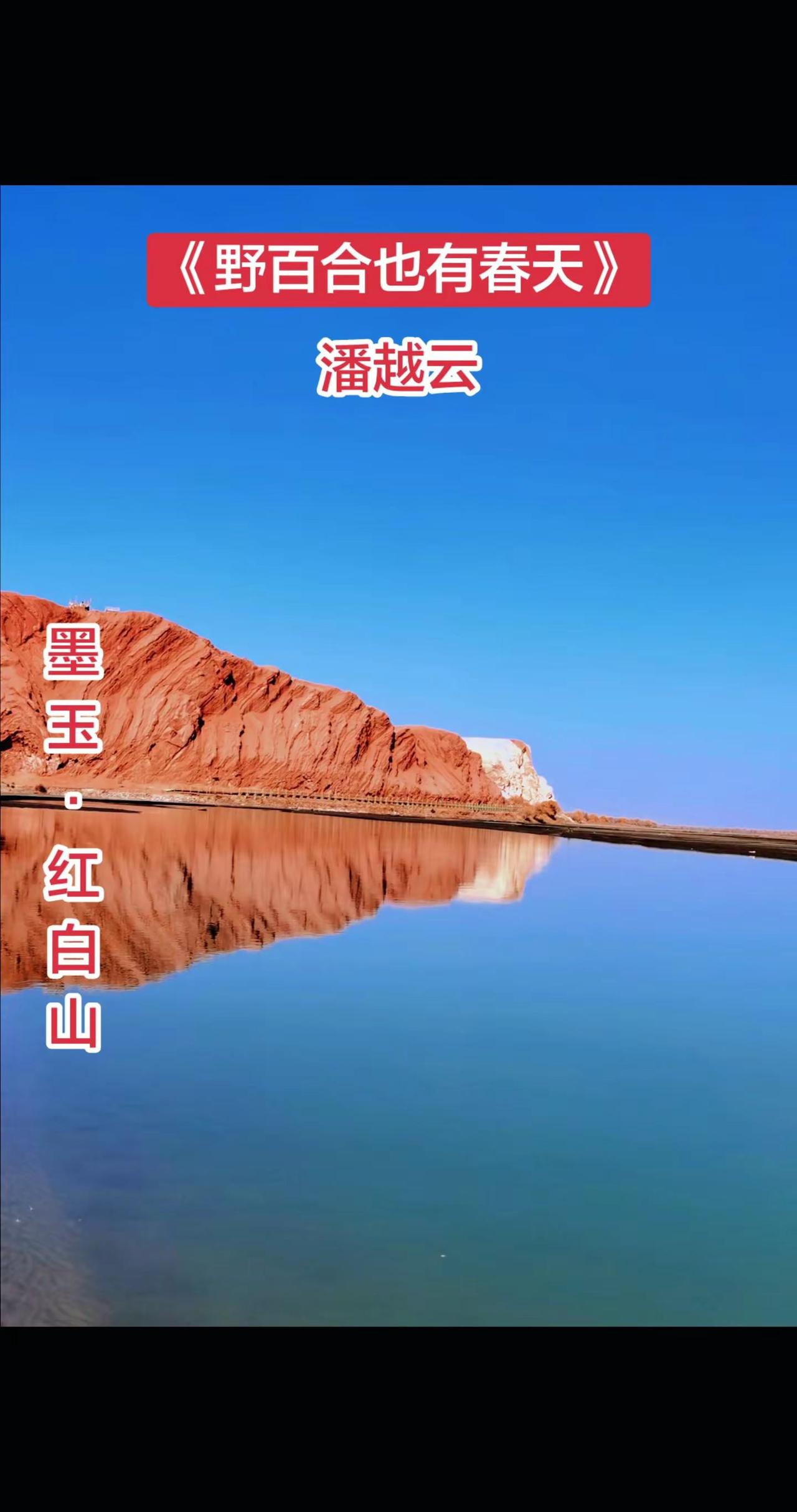 经典老歌。野百合也有春天 潘越云 红白山