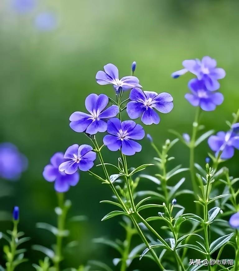 周五4：00以后教职工例会，改为每周一中午召开，老师们开心了。因为周末4：00开