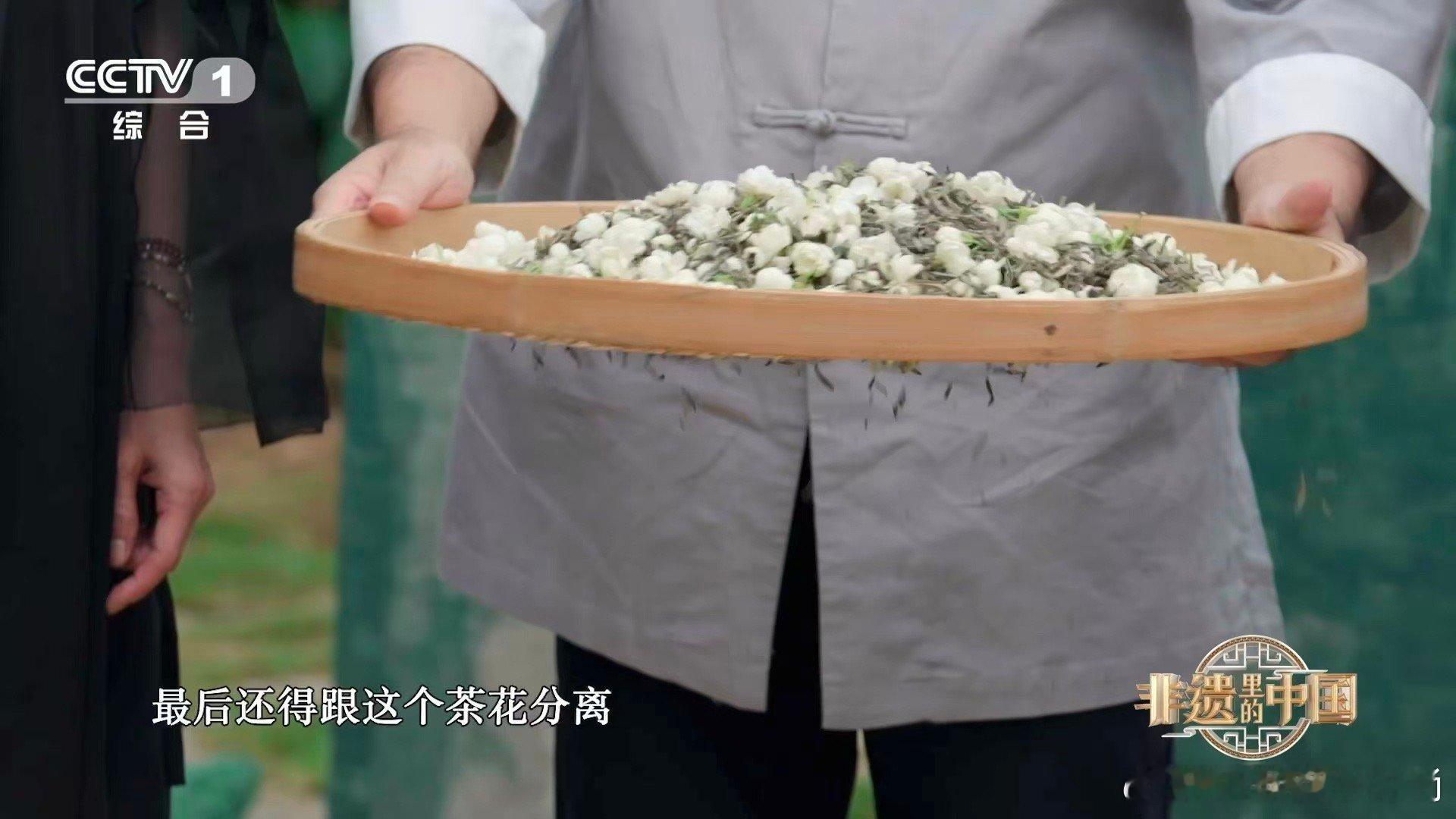 原来茉莉花也是夜猫子最珍贵的馈赠总在夜深人静时。茉莉用整个夜晚酝酿芬芳，将毕生香