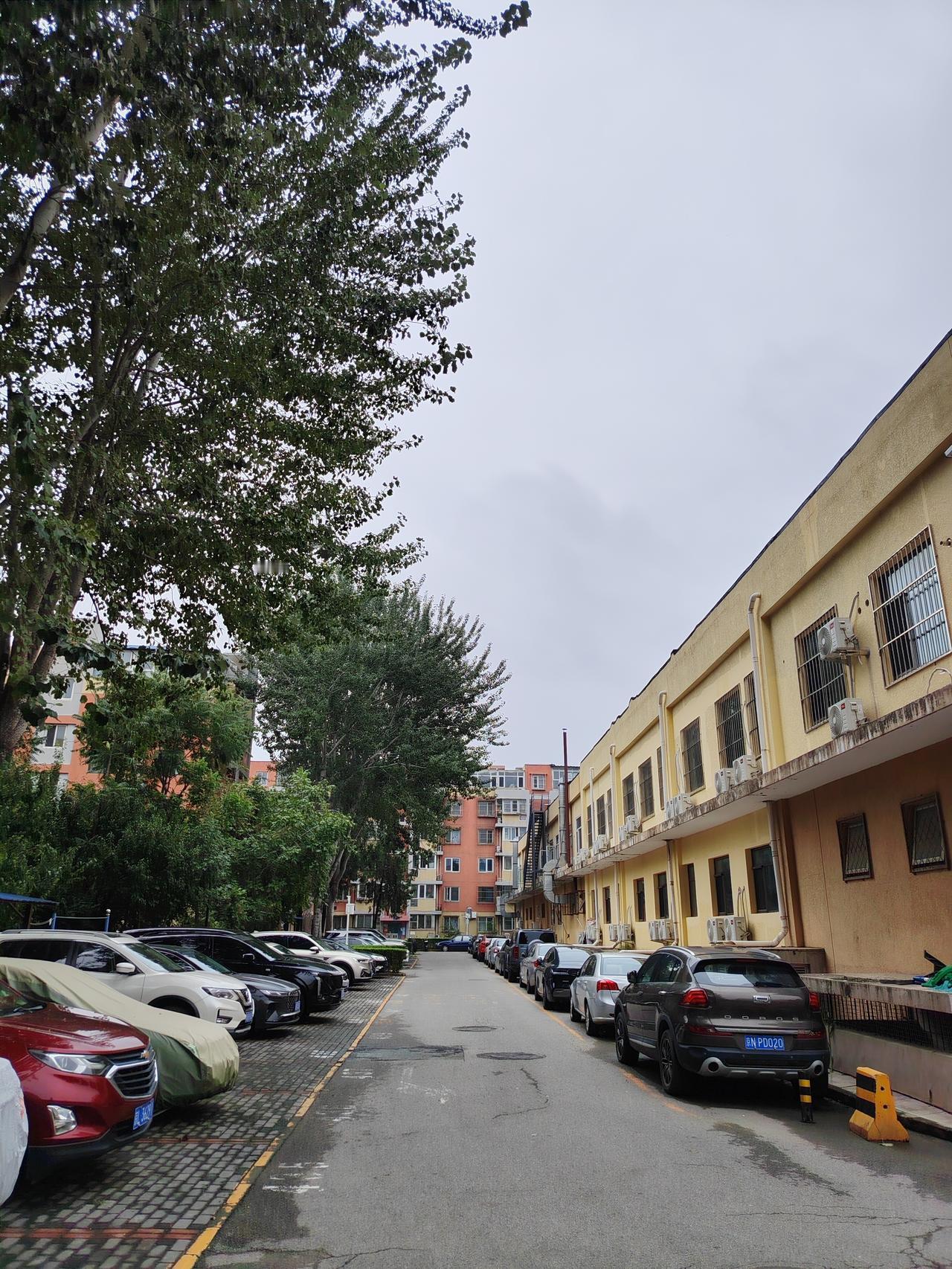 年轻时总以为幸福在远方，拼命追逐名利、地位、认可，以为拥有了便万事大吉。可当岁月