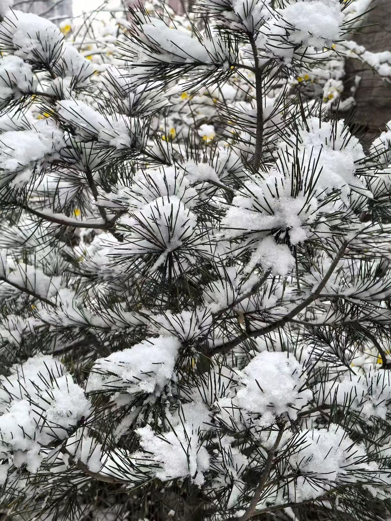 屋檐滴水，路面发亮，积雪悄悄退去，露出原本的大地。前一天还像冬天不肯走，转眼就有