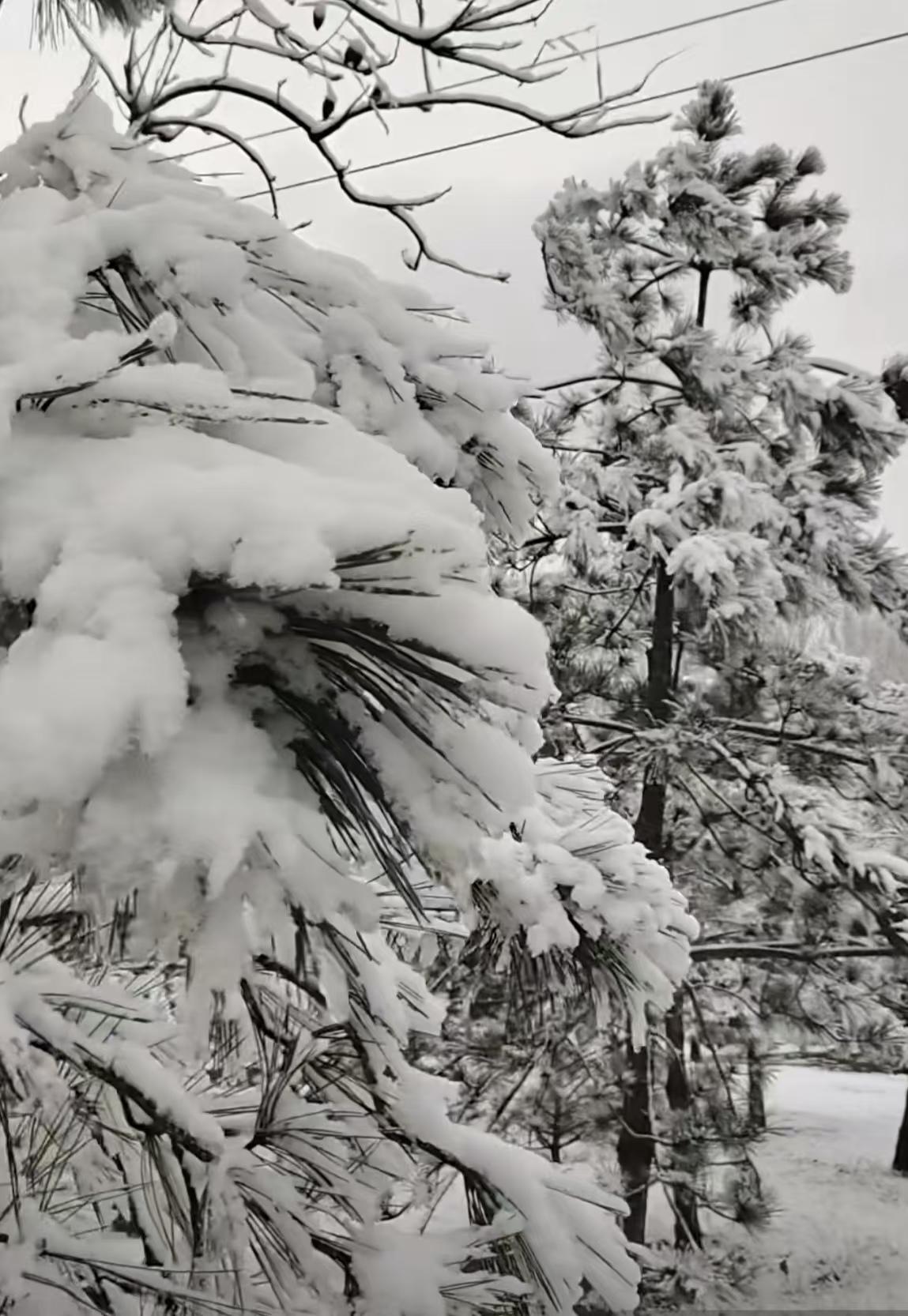 上联：雪作文章交白卷
下联：云帮降雨酝感情
上联意为：雪作文章交白卷，顾名思义，