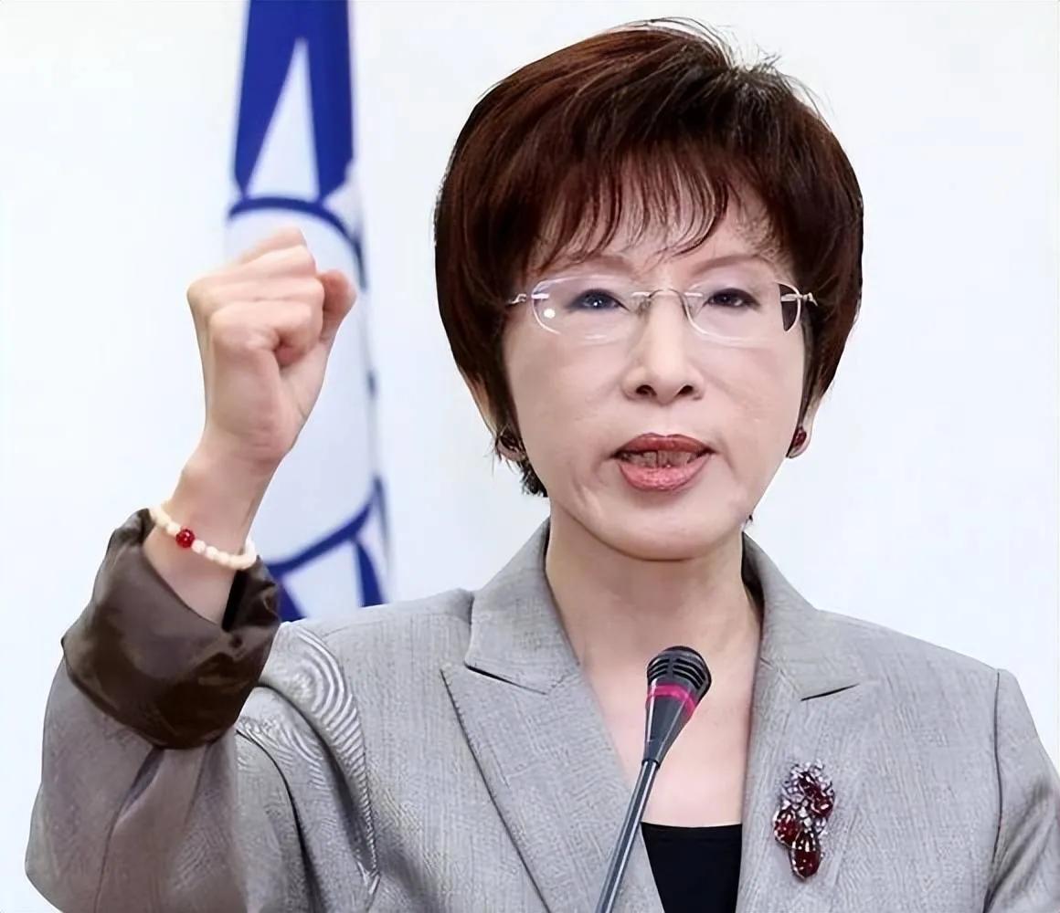 点赞！[赞]中国国民党前主席洪秀柱向新主席郑丽文建议：两岸关系不要那么复杂，未来