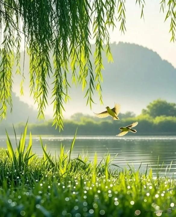 有人说，头条粉丝多没有用，挣的不多。我以前这么认为，但我现在不这么认为！

以前