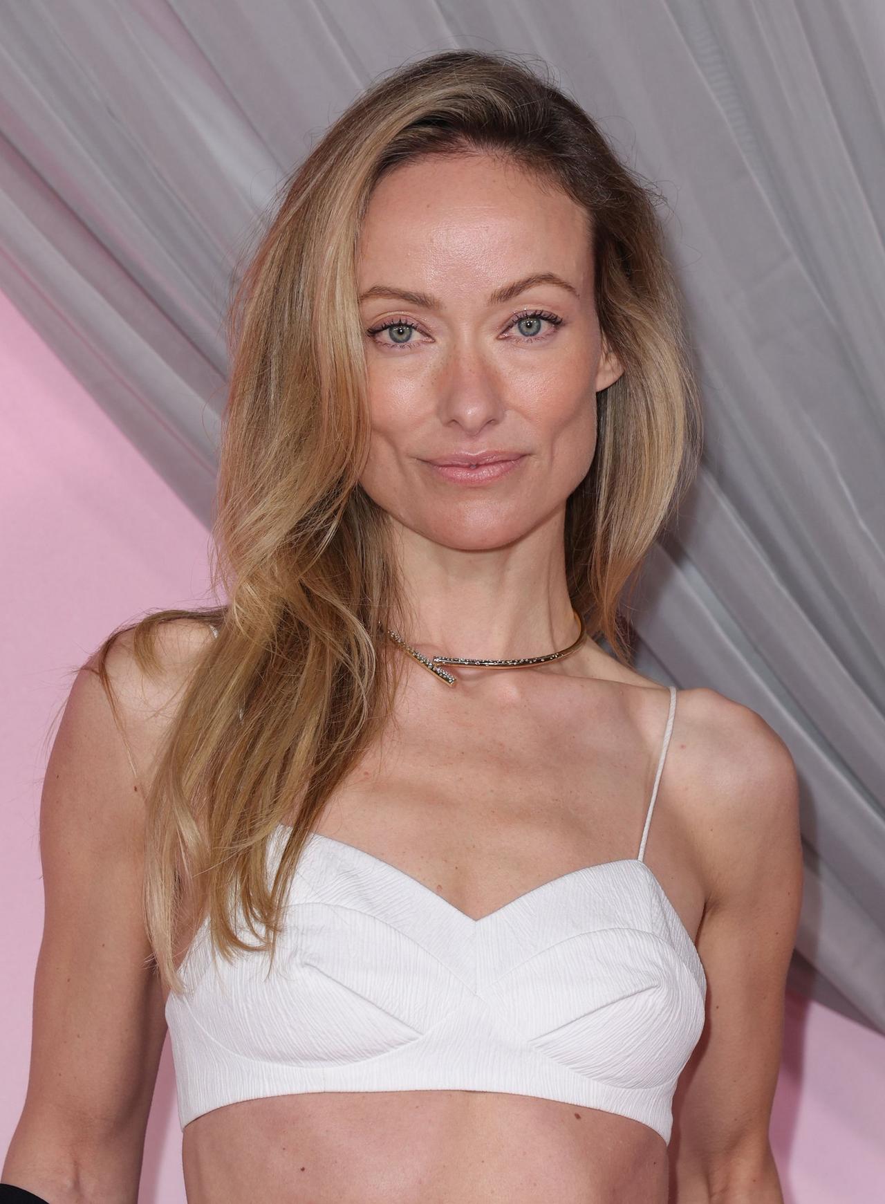 Olivia Wilde 拥有一张方正且棱角分明的脸，线条简洁明快，下颌骨清晰而