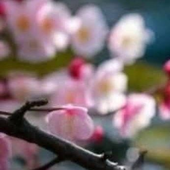 阳光信用  🍎阳光信用 🍎每日一善 睁开眼睛，给你一个轻轻的祝福，愿它每分每