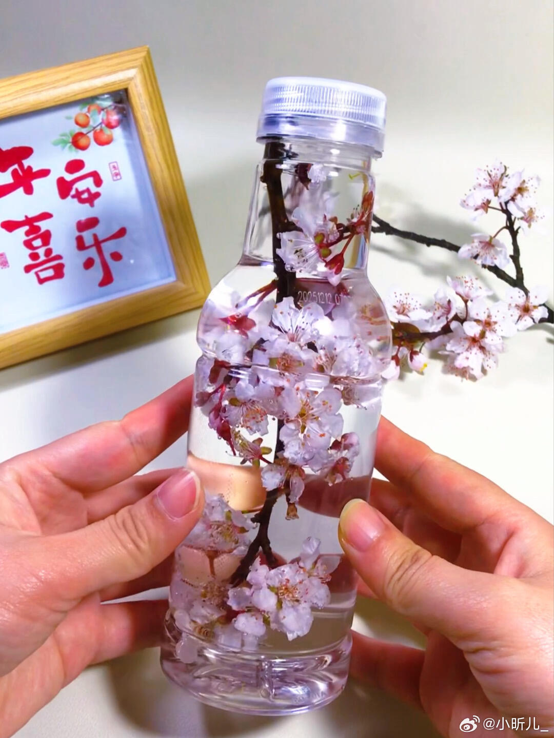 把桃花装进瓶子里，这也太美了吧 