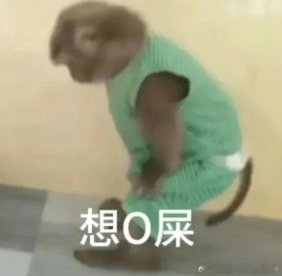 为什么排尿和排便很难同时进行？[喵喵]排尿和排便是两个看似独立又相互制约的系统。