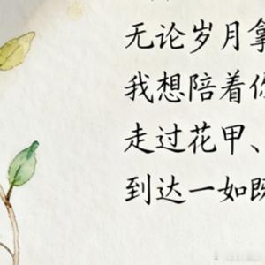 情感语录 我喜欢你，无论岁月拿你怎样。我想陪着你，走过花甲、踏过珠黄，到达一如既