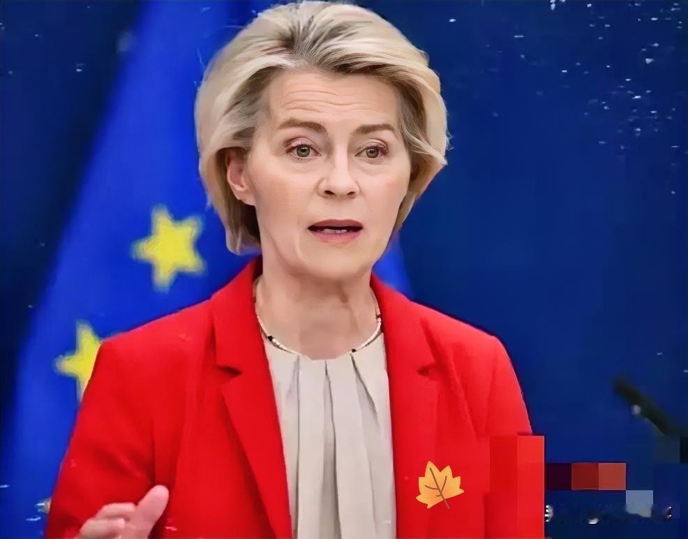 欧盟27国，集体“跪了”！

欧盟这次，意见出奇地一致。二十七个国家，全都举手同