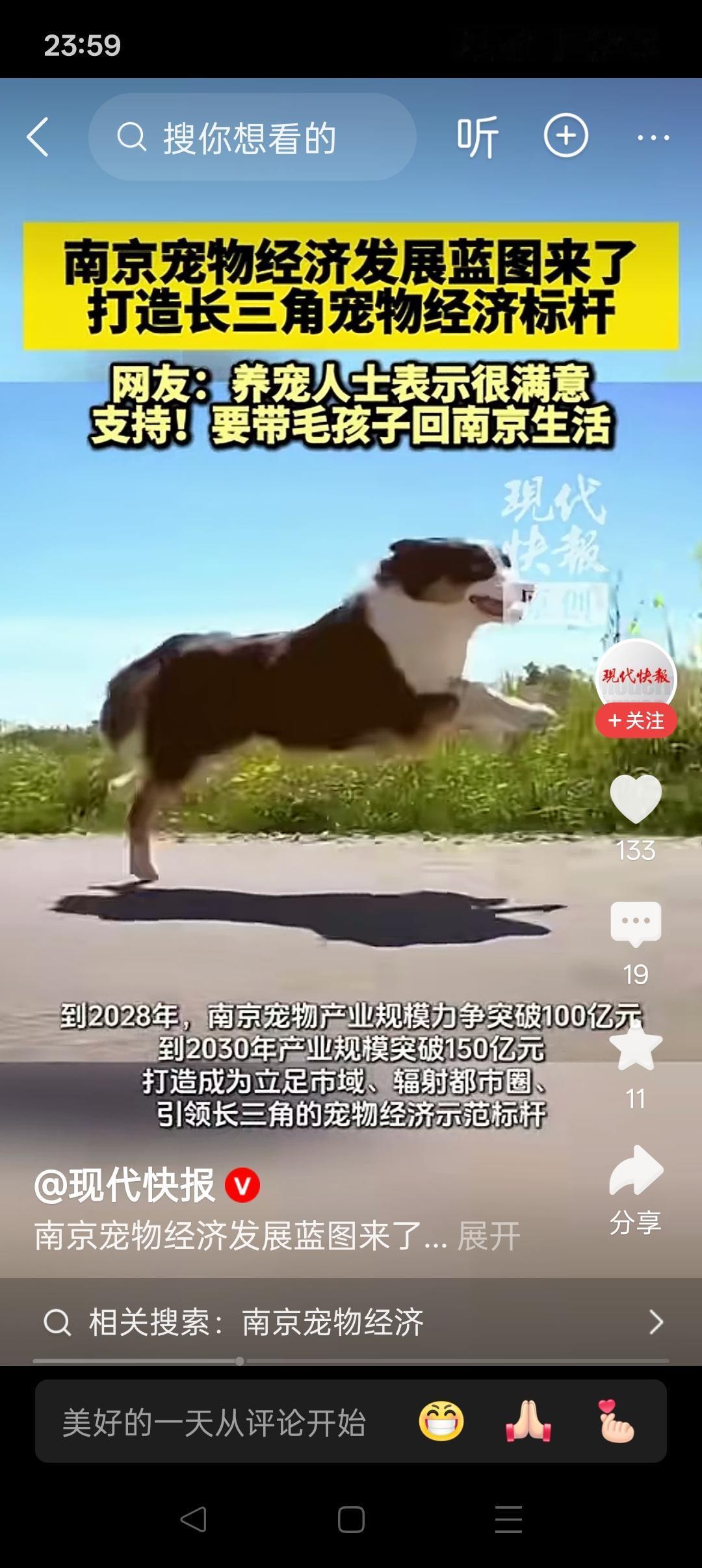 南京既然带头搞宠物经济，政府和公职人员就应该树立榜样！

南京各级政府目前可以从