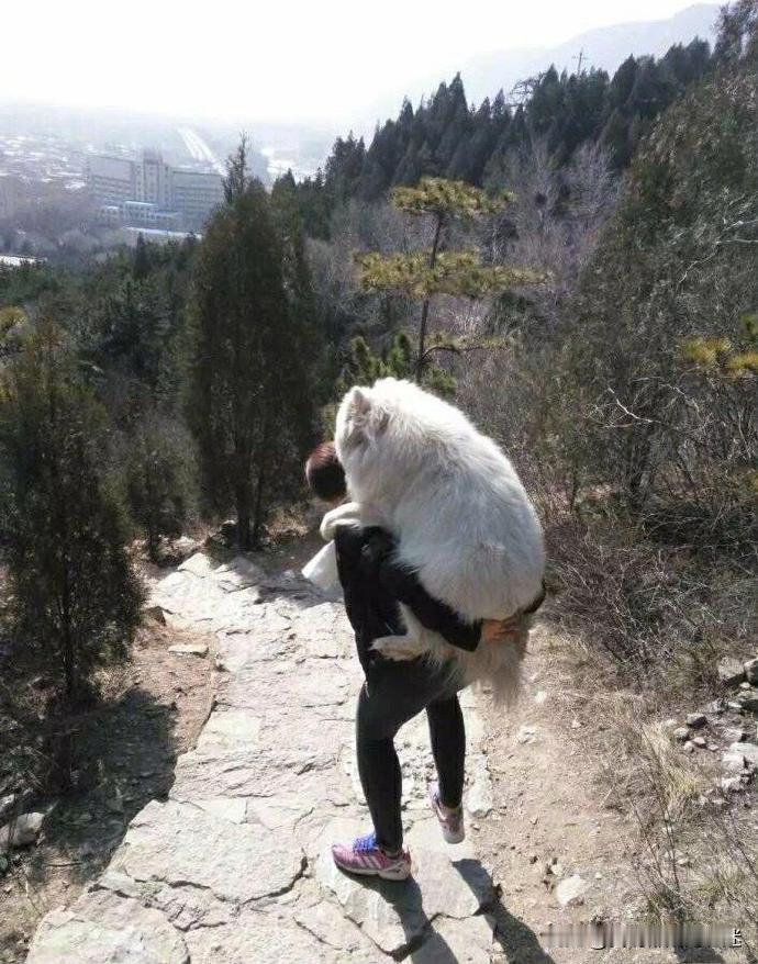 自己的狗子，累死也得自己背回去