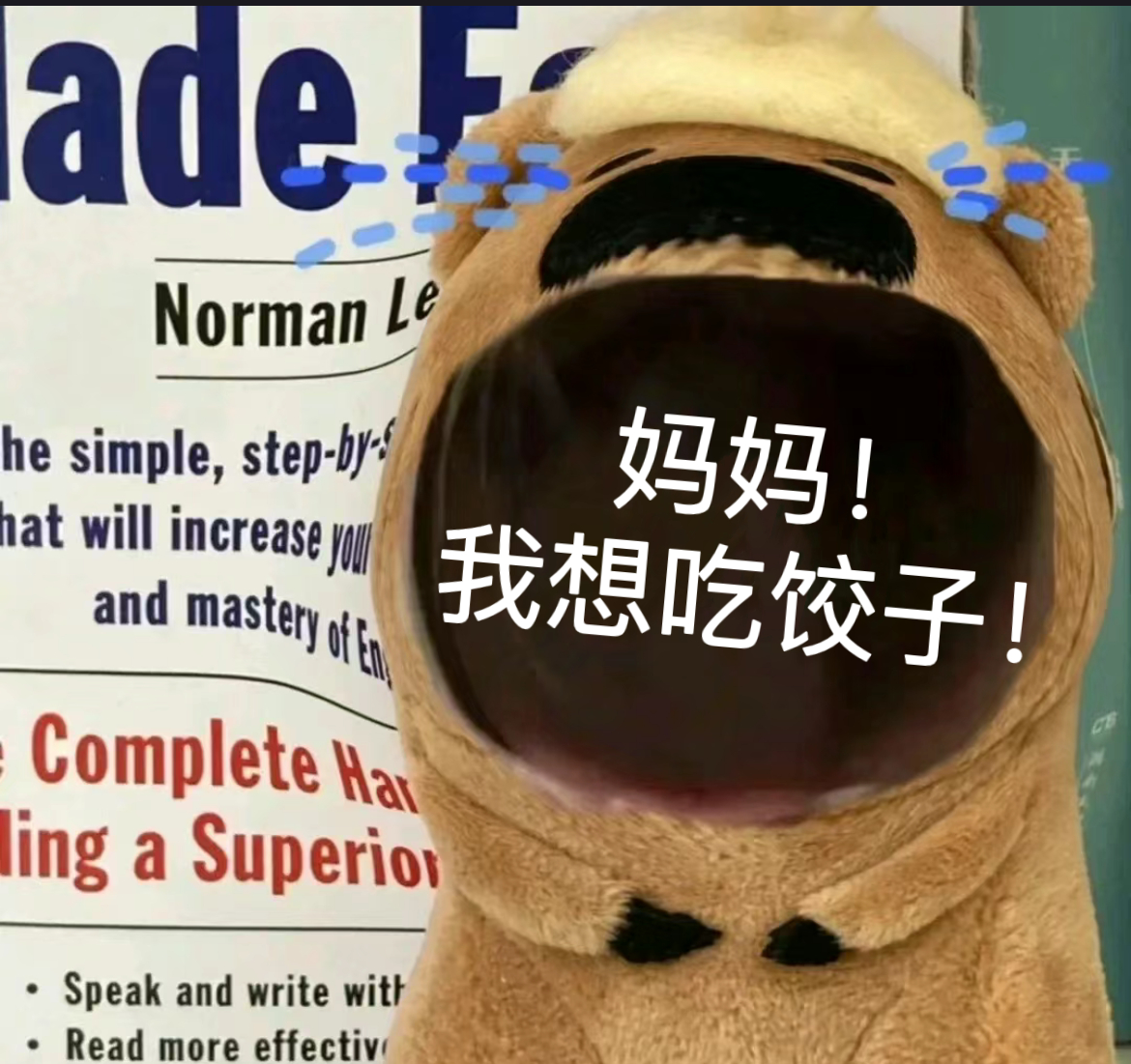 #立冬吃饺子##费翔吃饺子都这么优雅#谁懂啊，我已经沦陷在视频里费翔老师吃饺子时