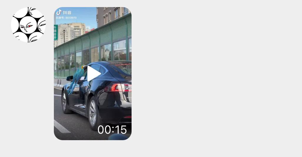 臭显摆！鹦鹉有翅膀 会飞的啊… ​​​