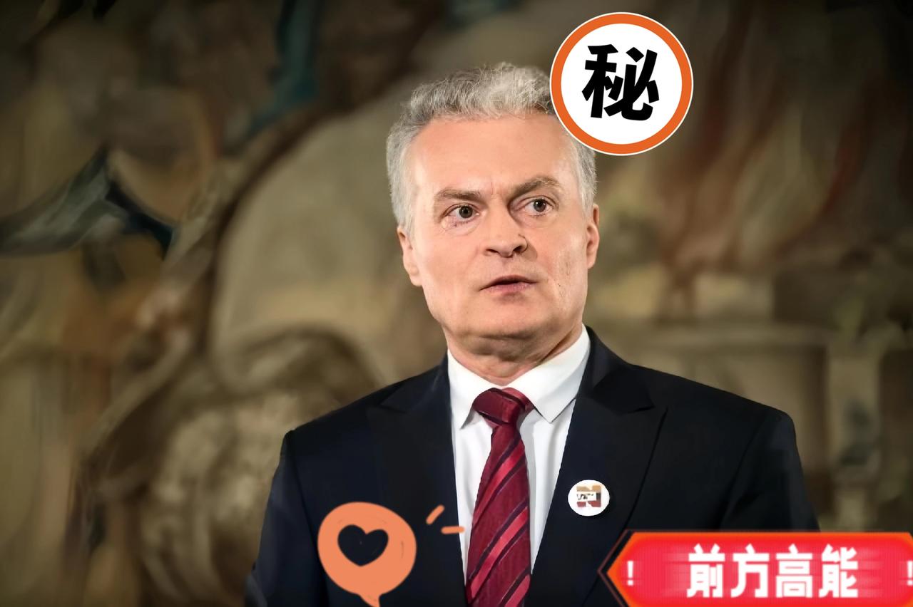 立陶宛近日表示:限制中国的技术产品了，这次瞄准的是能源设施，能源部长瓦伊丘纳斯明