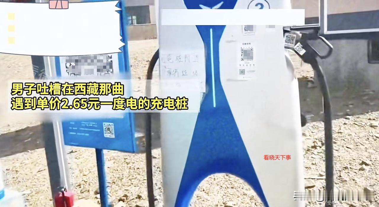 开始收割了？西藏那曲，男子开电动车找充电桩充电，可看到上面的价格却忍不住吐槽起来
