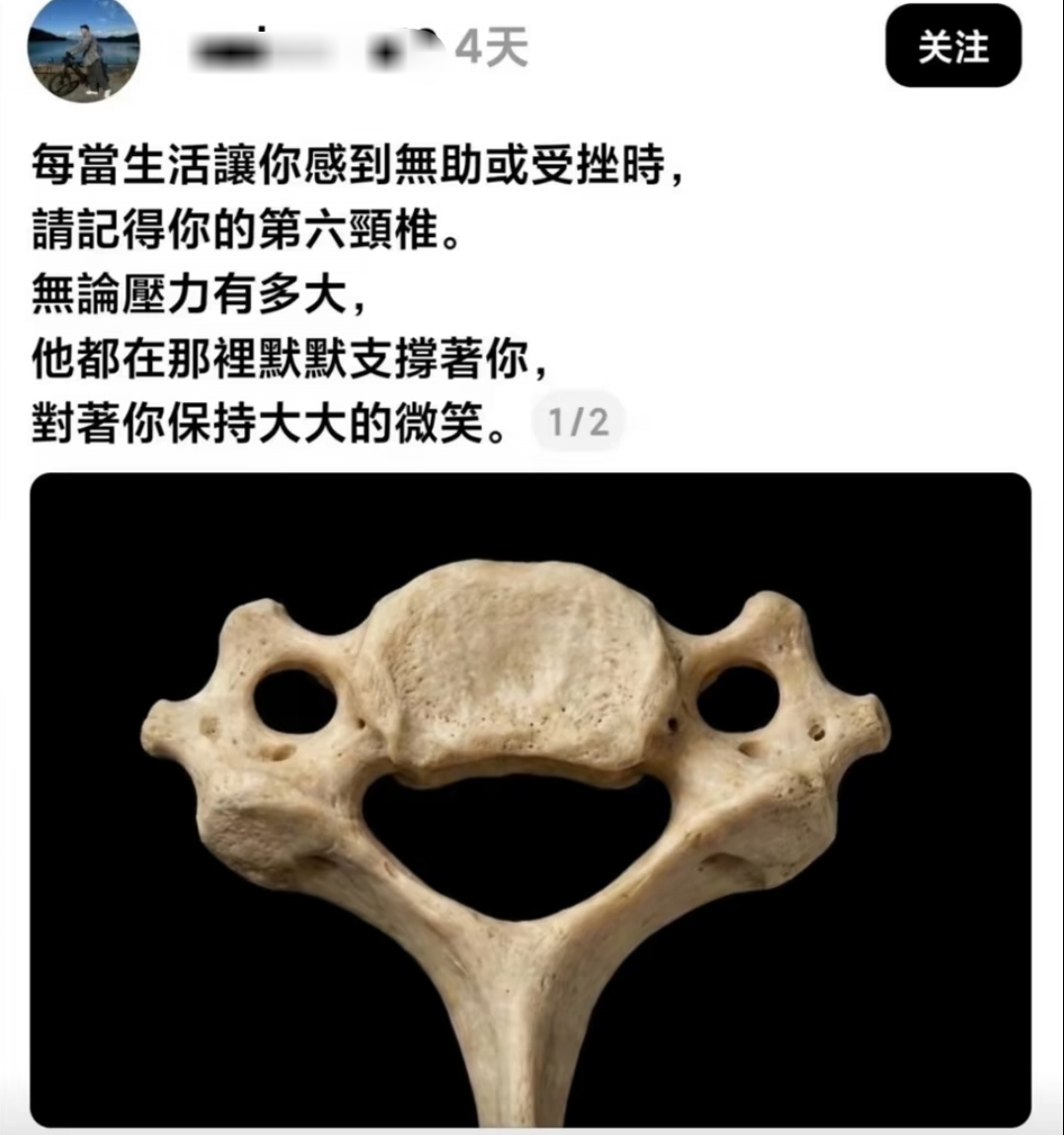 7079好呆萌 ​​​
