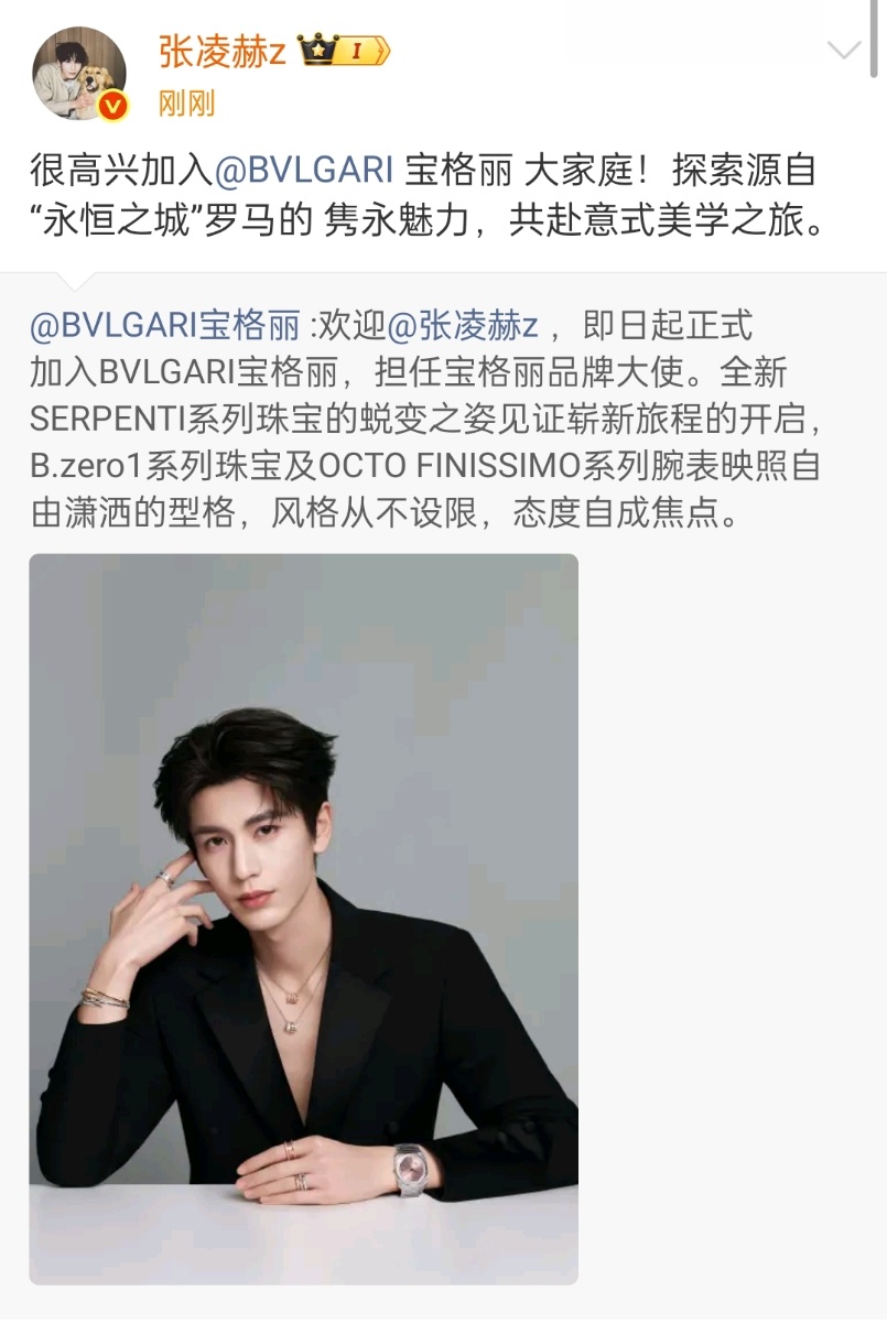 宝格丽官宣张凌赫品牌大使张凌赫宝格丽官宣品牌大使 张凌赫官宣宝格丽品牌大使！！张