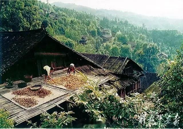 生活手记乡村 八九十年代的广西大山里的村庄！ 
