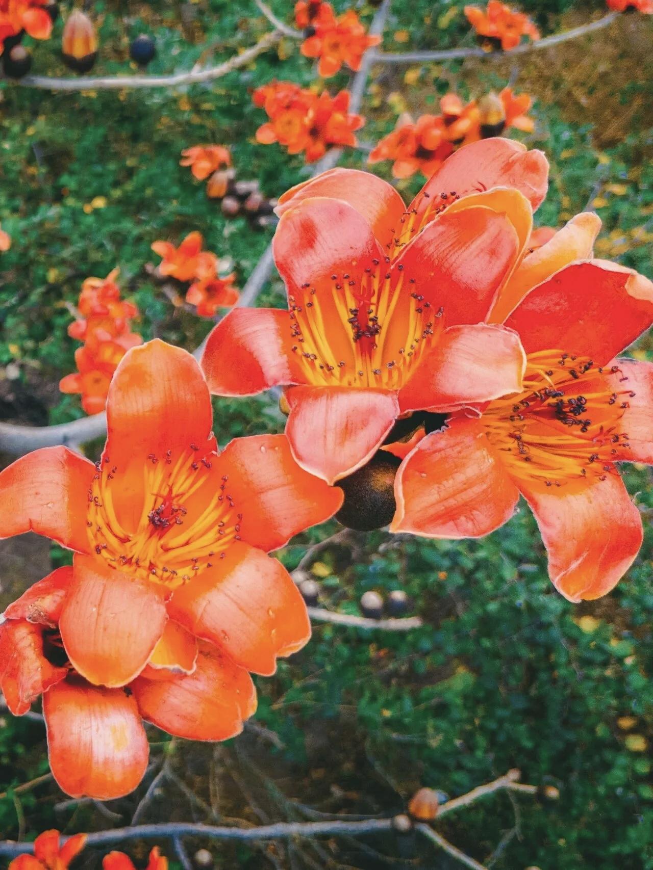 【践行健康家风，方能行稳致远】
        践行健康家风，真的太重要了。就像