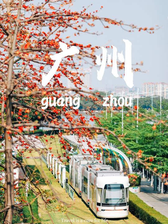 来广州！花2️⃣元坐上春日红棉列车🚄