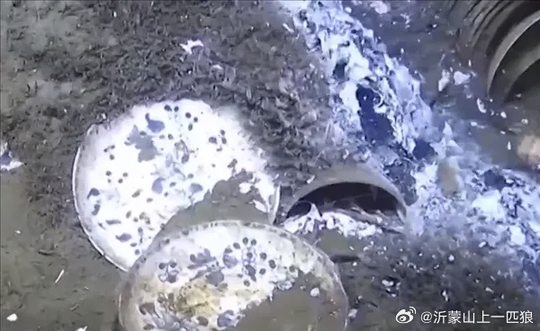 挪威深海发现载有中国瓷器的沉船：大量青花瓷重见天日，文物达数千件。(来源 : 网