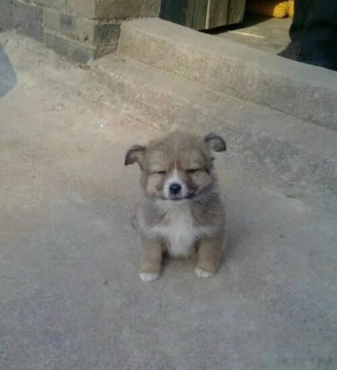 分享图片 