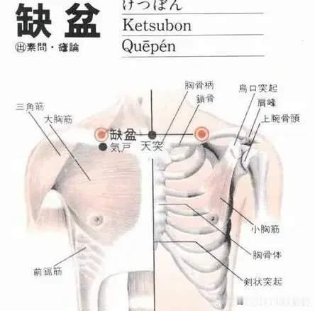 锁骨窝里藏着一个补气大穴，揉开了比喝黄芪还提劲，满血复活！