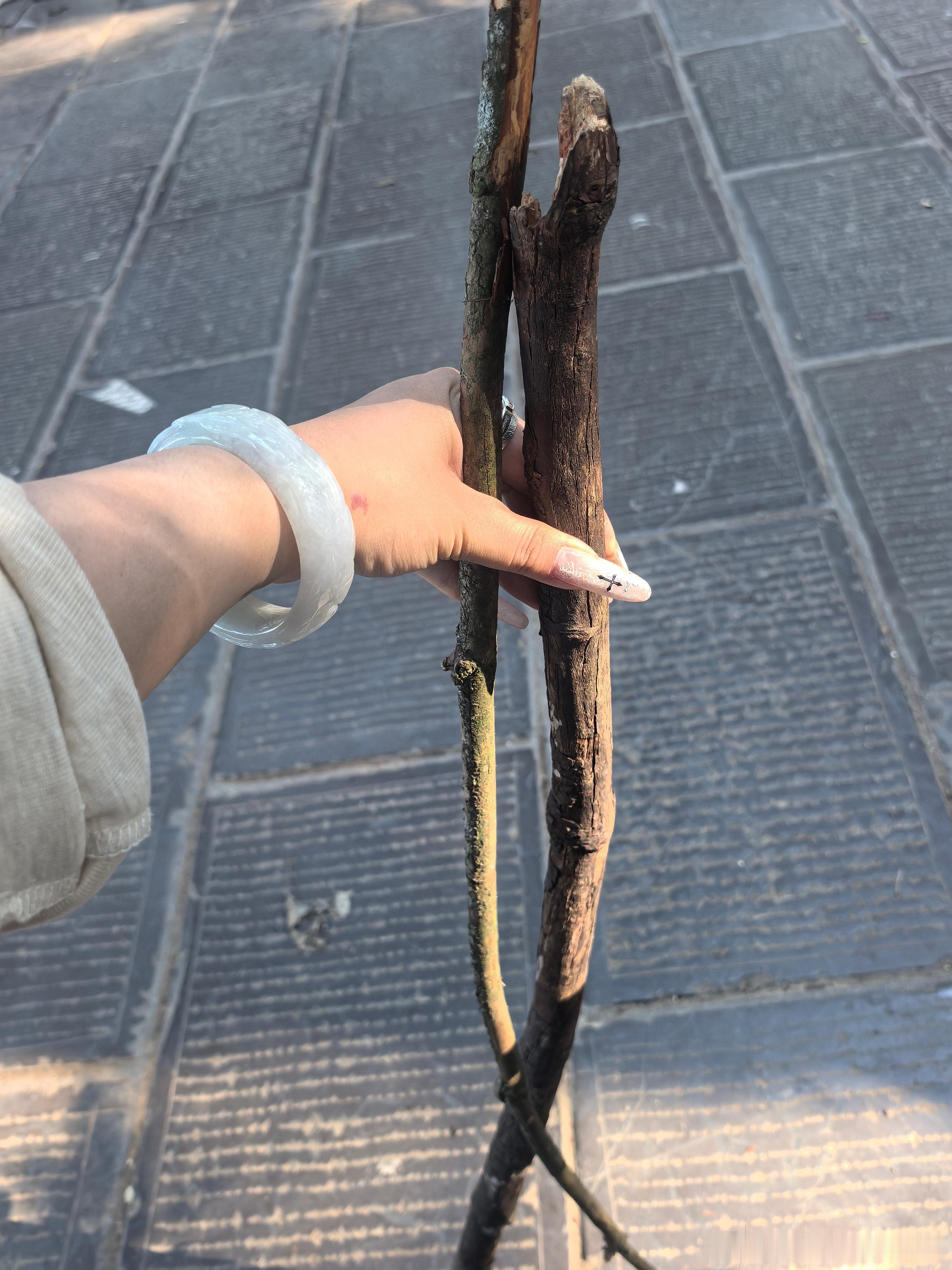 额不行了这猴子太多了，直接不敢把锅吻翰掏出来 装备也没了，捡两根棍子吓唬猴子 ​