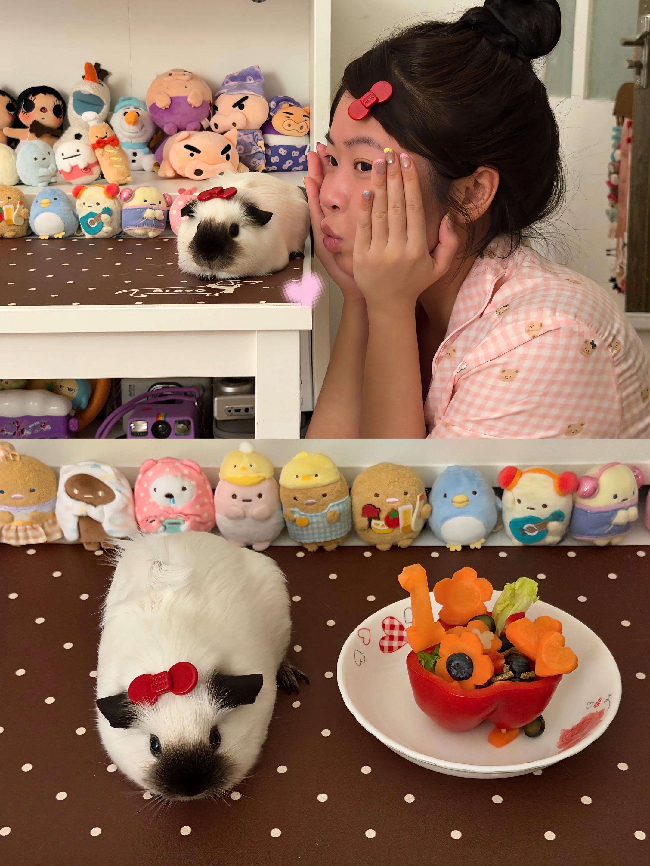 猪在呆滞中迎来了自己的一岁˗ˋˏ🎂ˎˊ。