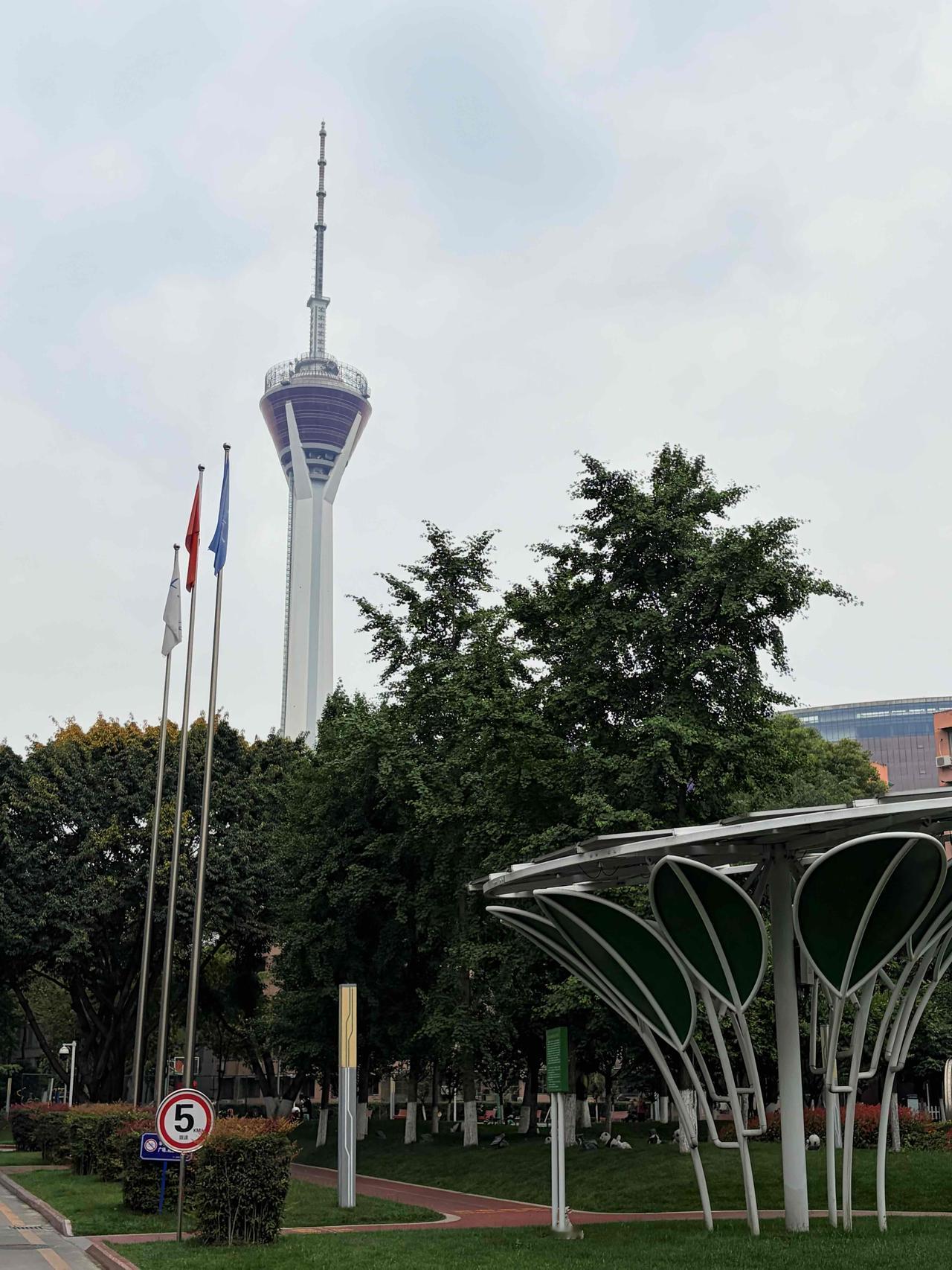 初中同学小聚 260509

1972年的春风里
我们成了少年同窗
有些缘分，早